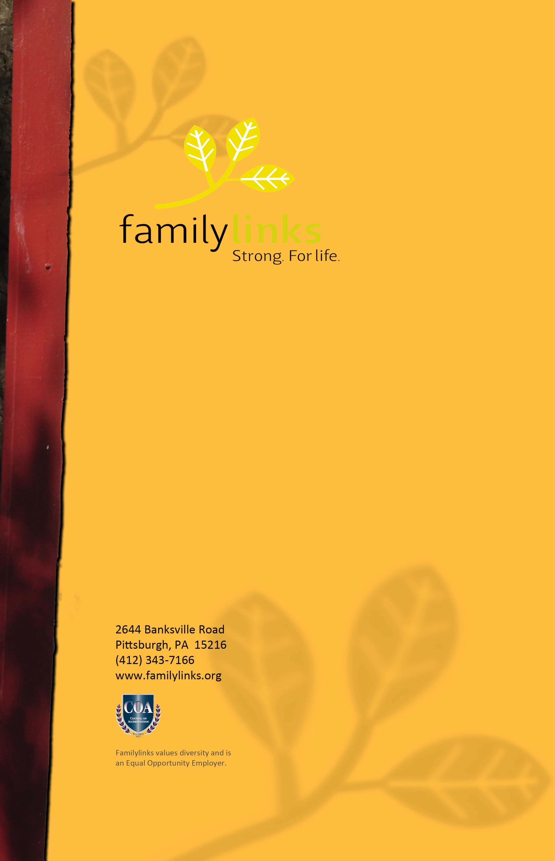 BACK COVER.jpg