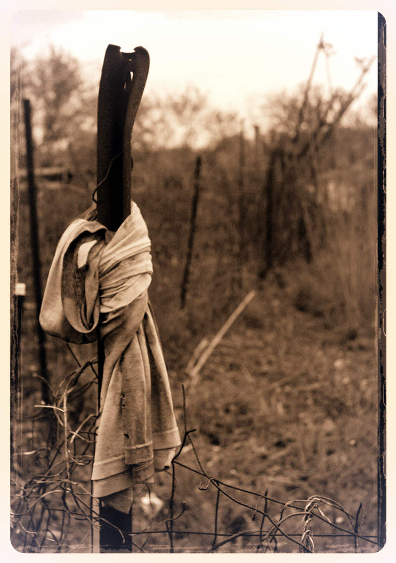 frasca6sepia.jpg