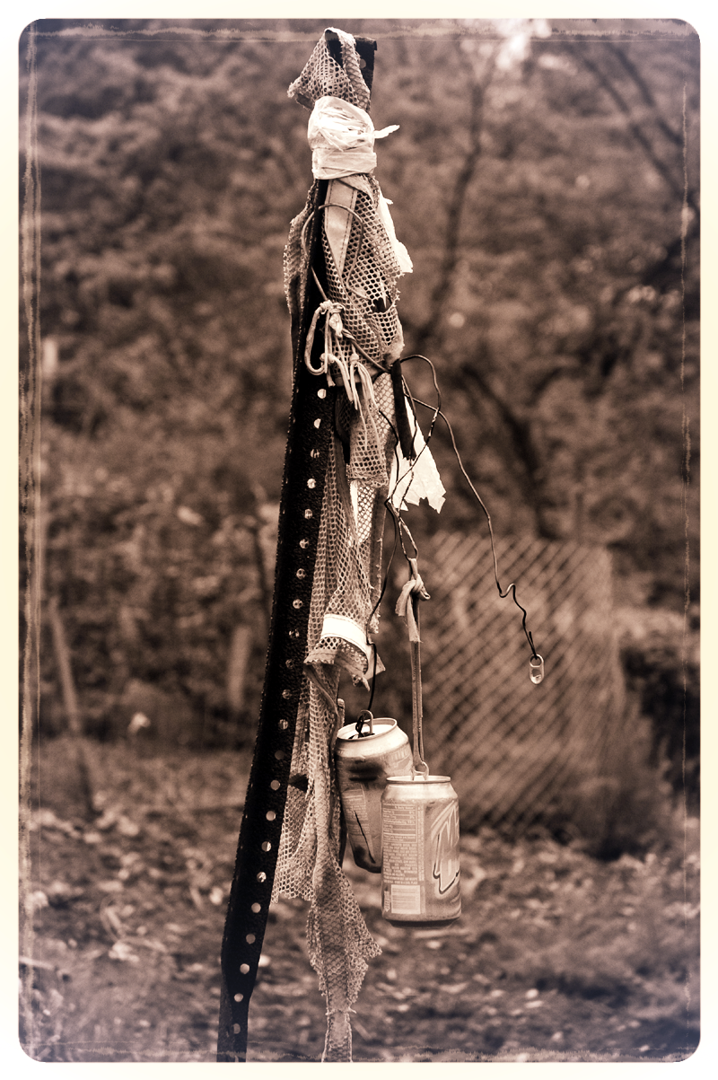 scarecrow.jpg
