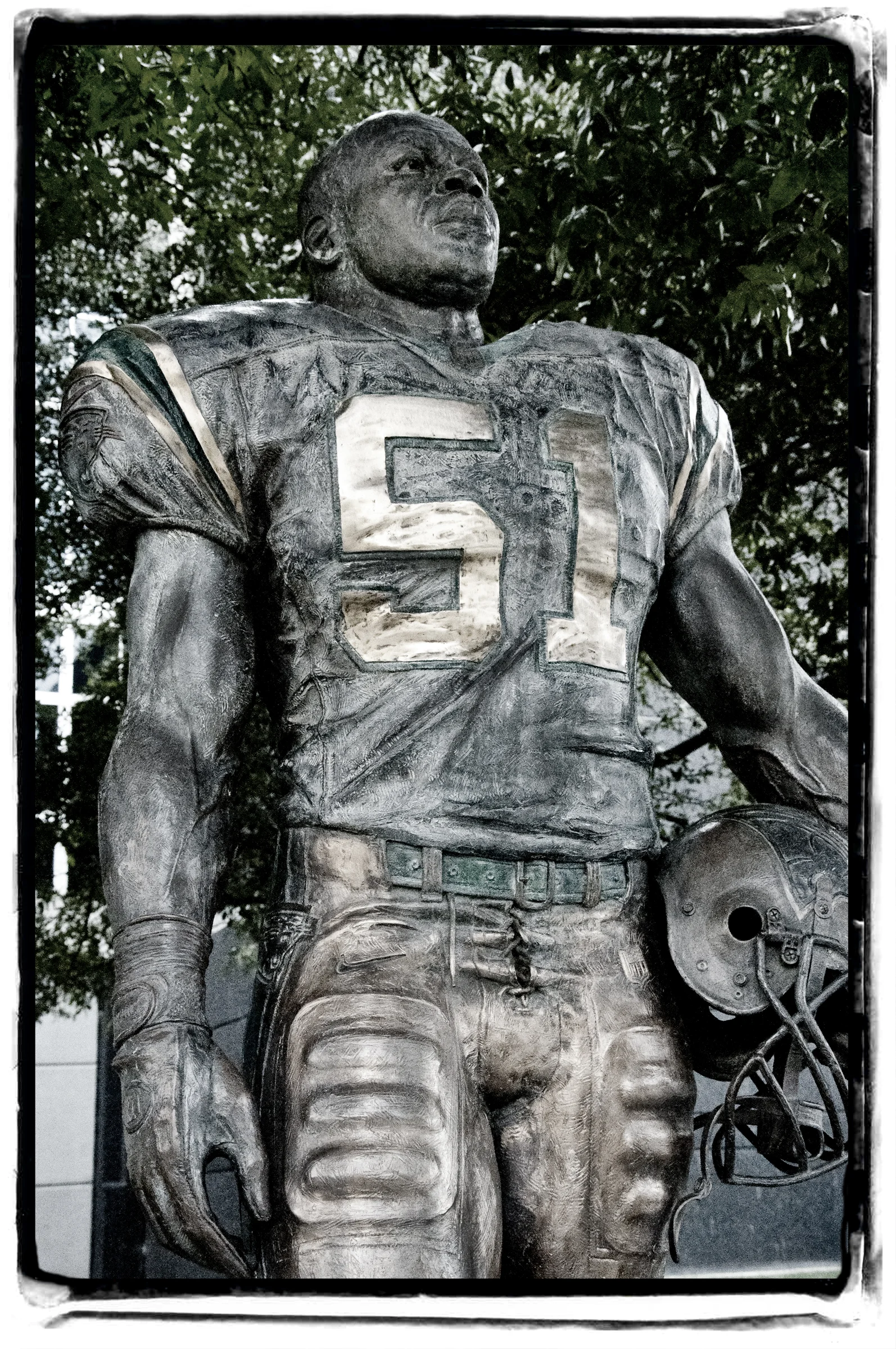 SAM MILLS PORTRAIT web.jpg