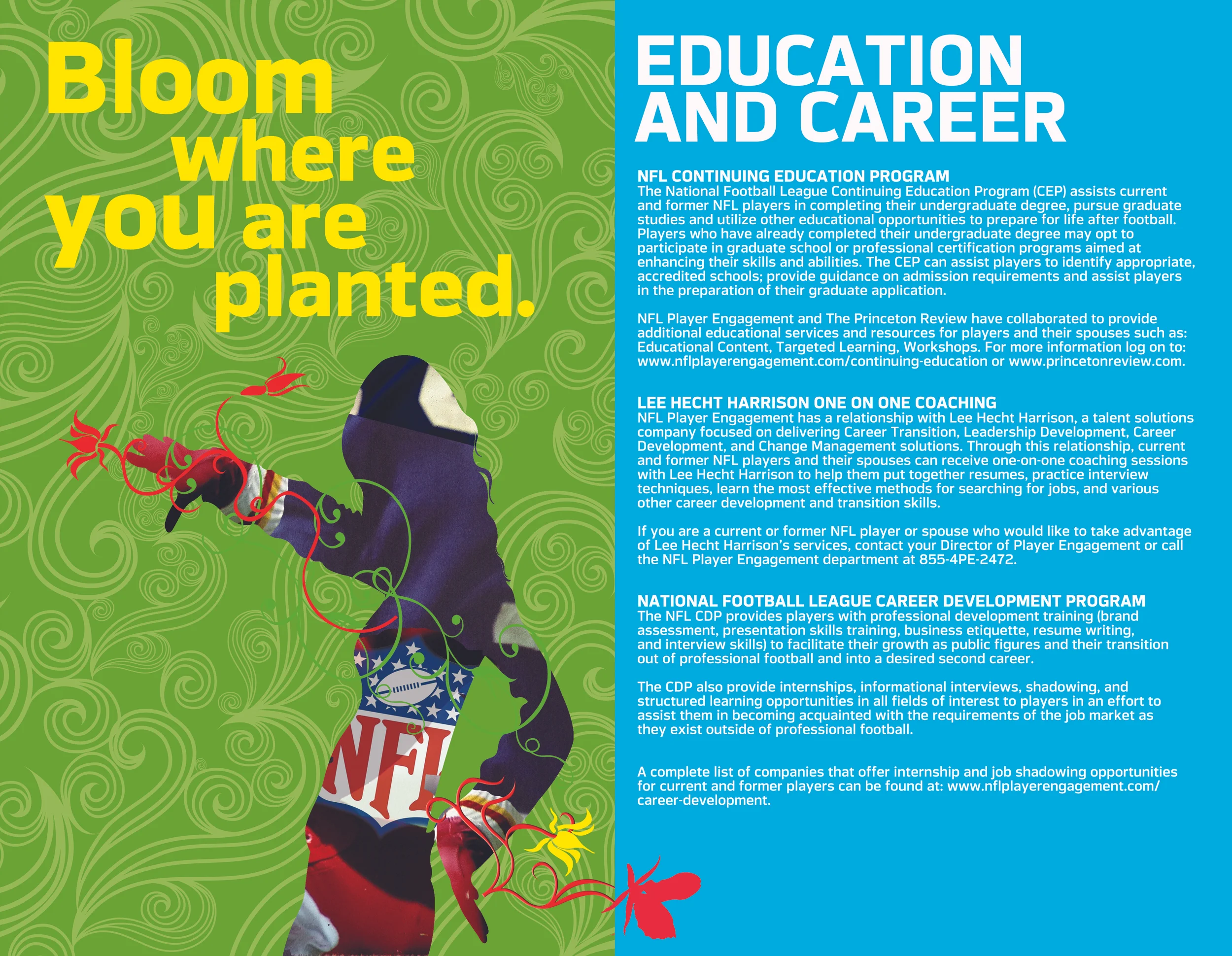 EDUCATION AND CAREER.jpg
