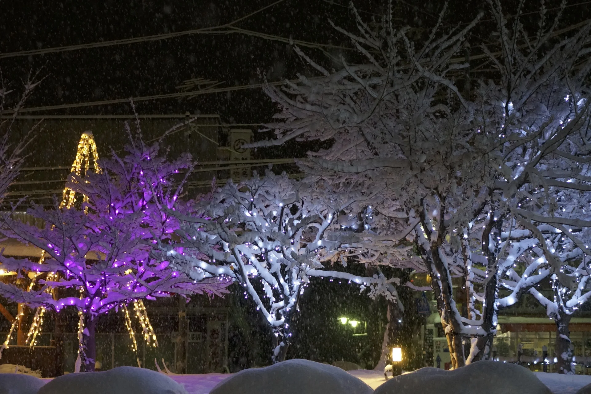 Yudanaka, Japan
