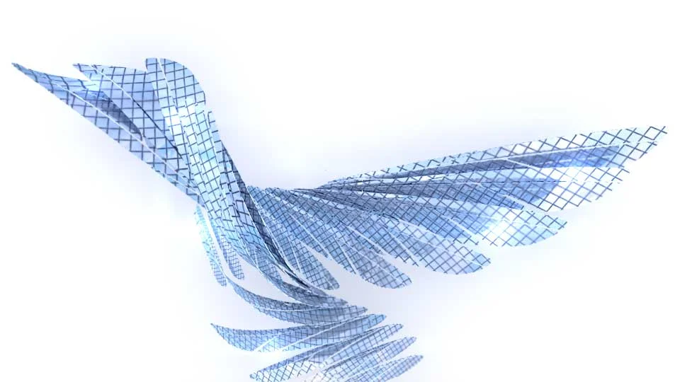 Shape_1.jpg