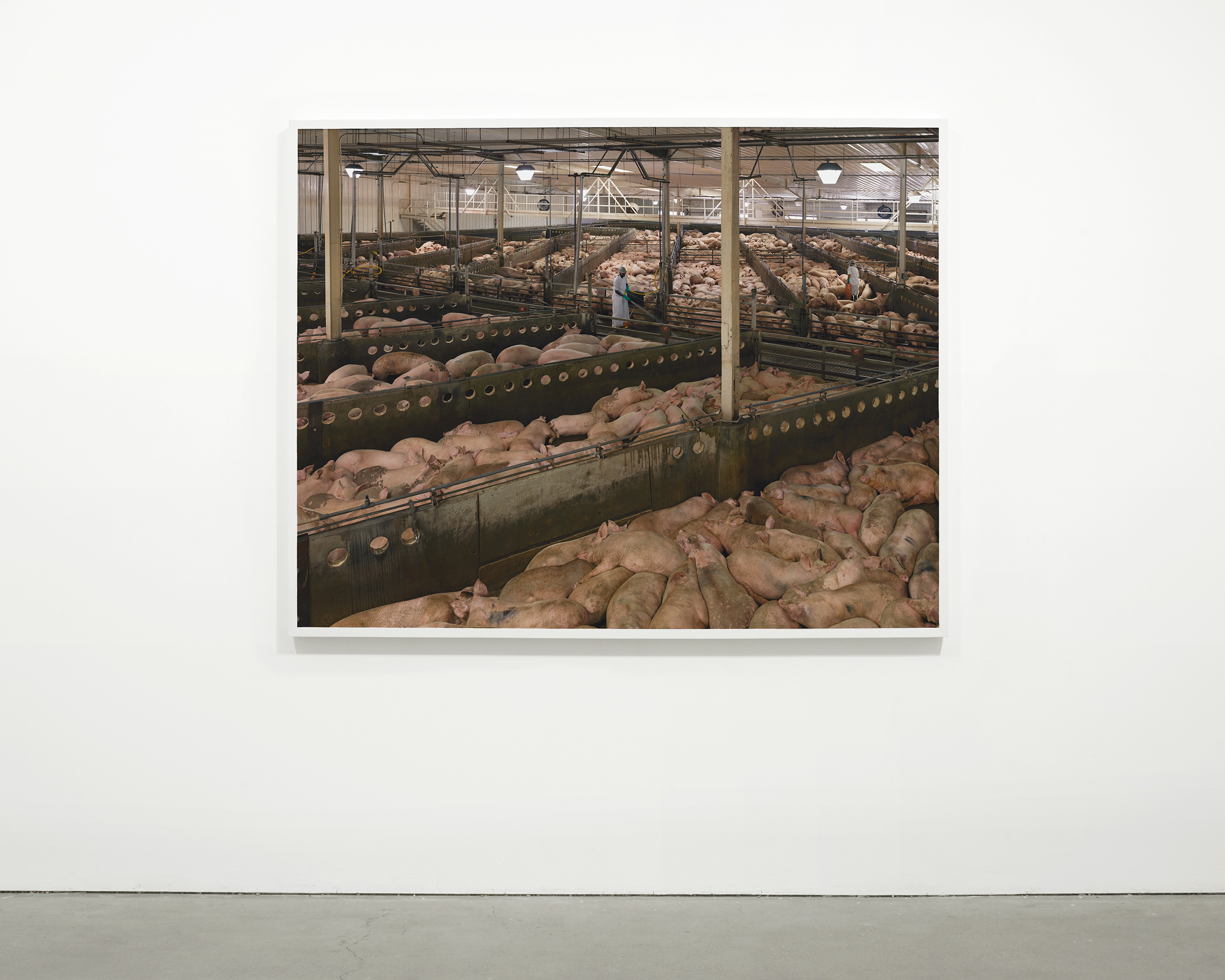  “Stockyard”, 2013 - 2015  54 x 68.25 in (137.15 x 173.35 cm) 