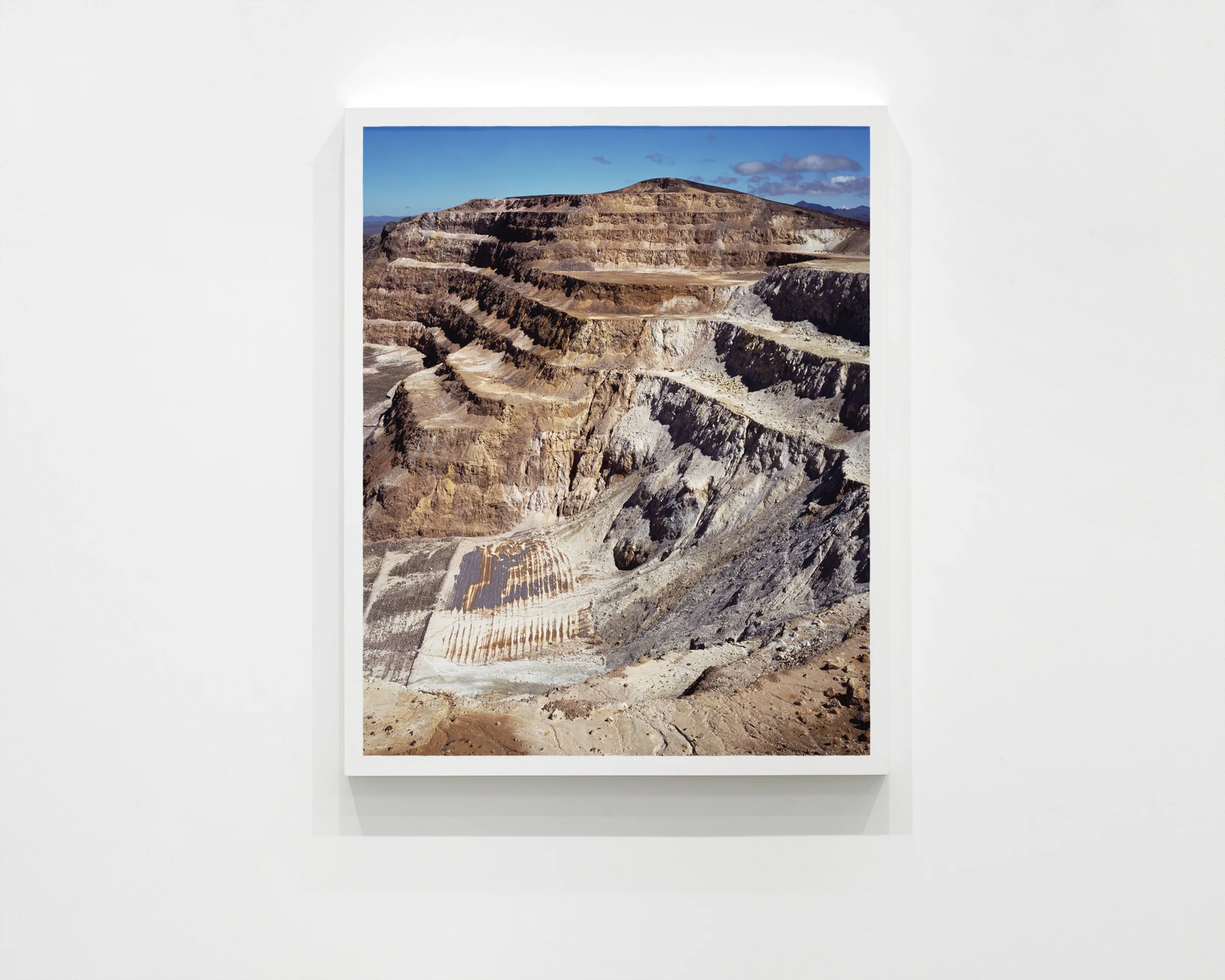 “Maqui Maqui Wall”, 2008 30 x 20 in (76.2 x 60.96 cm)