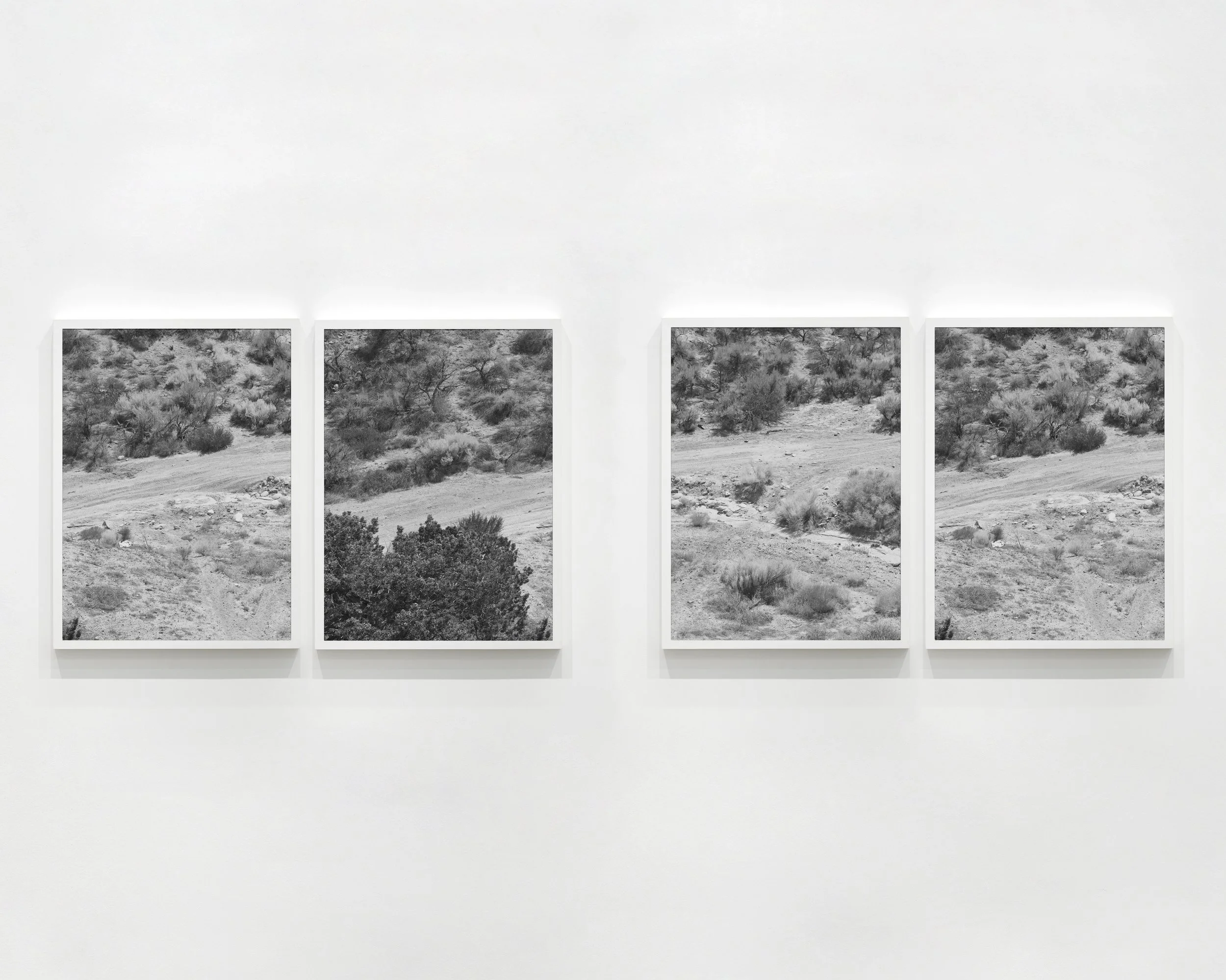  Detail of “Paths #01” &amp; “ Paths 02”, 2020-2021  Diptychs, 10 x 16 in. each diptych, 10 x 8 in. (25.4 x 20.32 cm) each photograph 