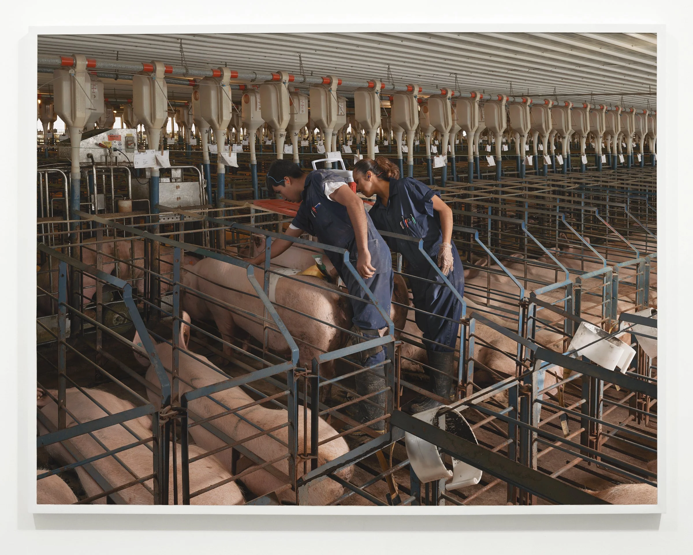  “A.I.”, 2013 - 2015  54 x 71 in (137.15 x 180.35 cm) 