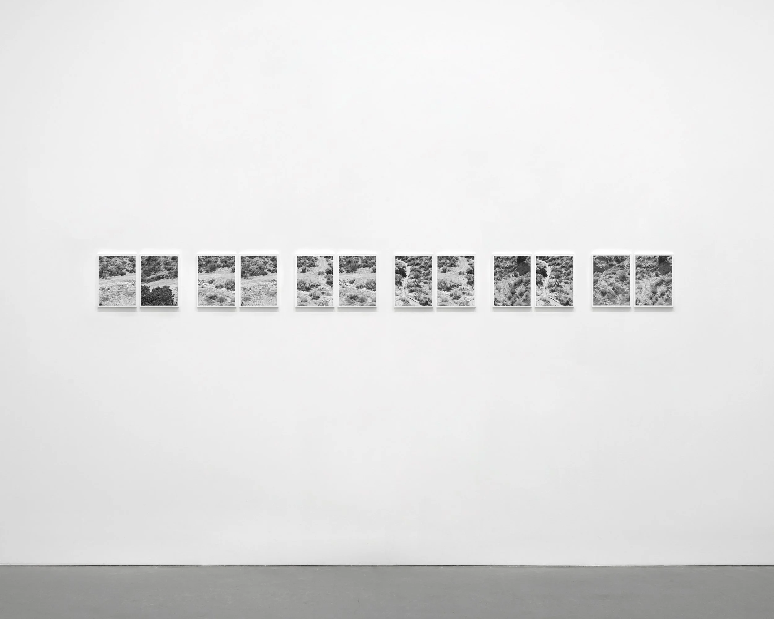  “Paths”, 2020-2022  6 Diptychs, 10 x 16 in. each diptych, 10 x 8 in. (25.4 x 20.32 cm) each photograph 