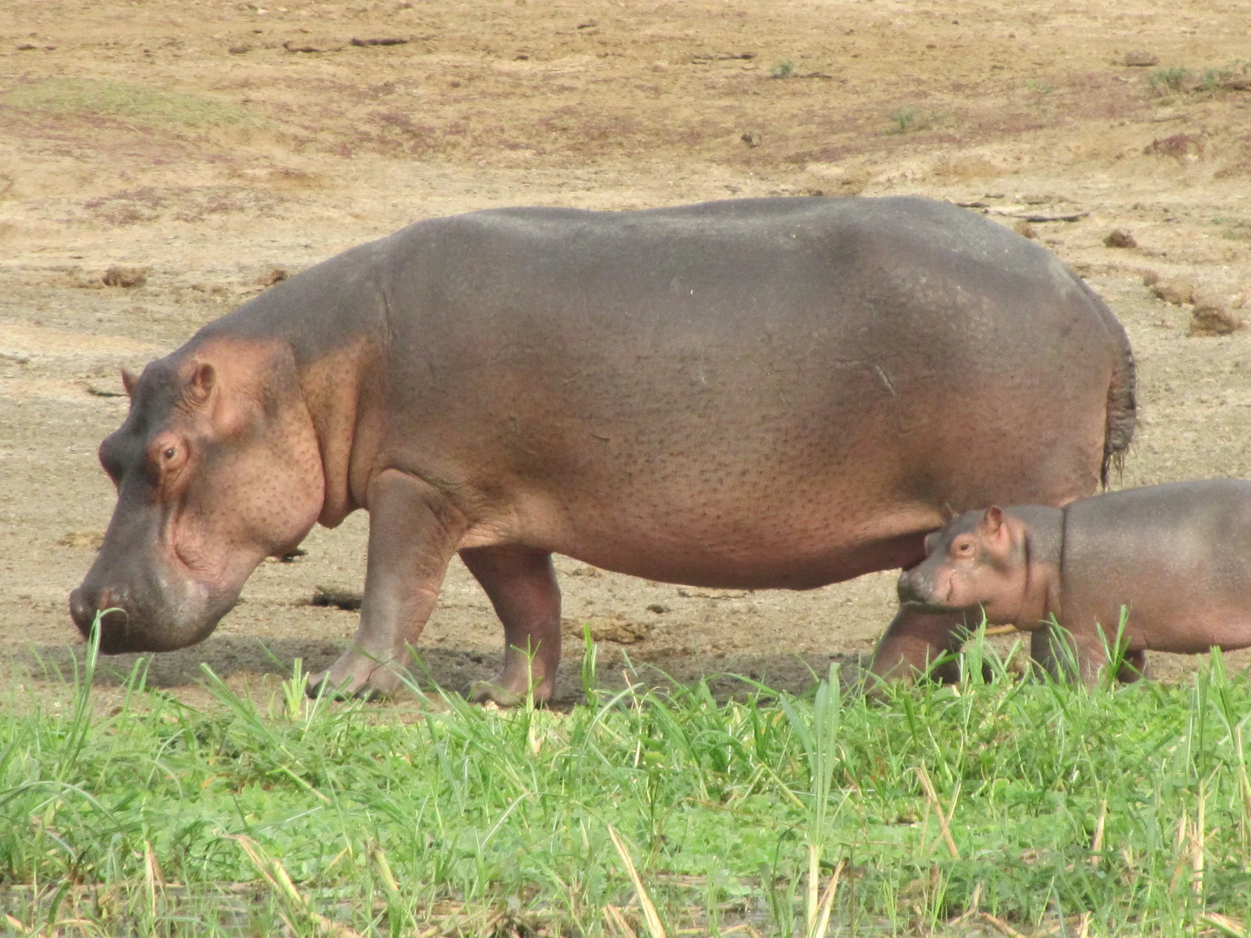 Mother & Child.JPG