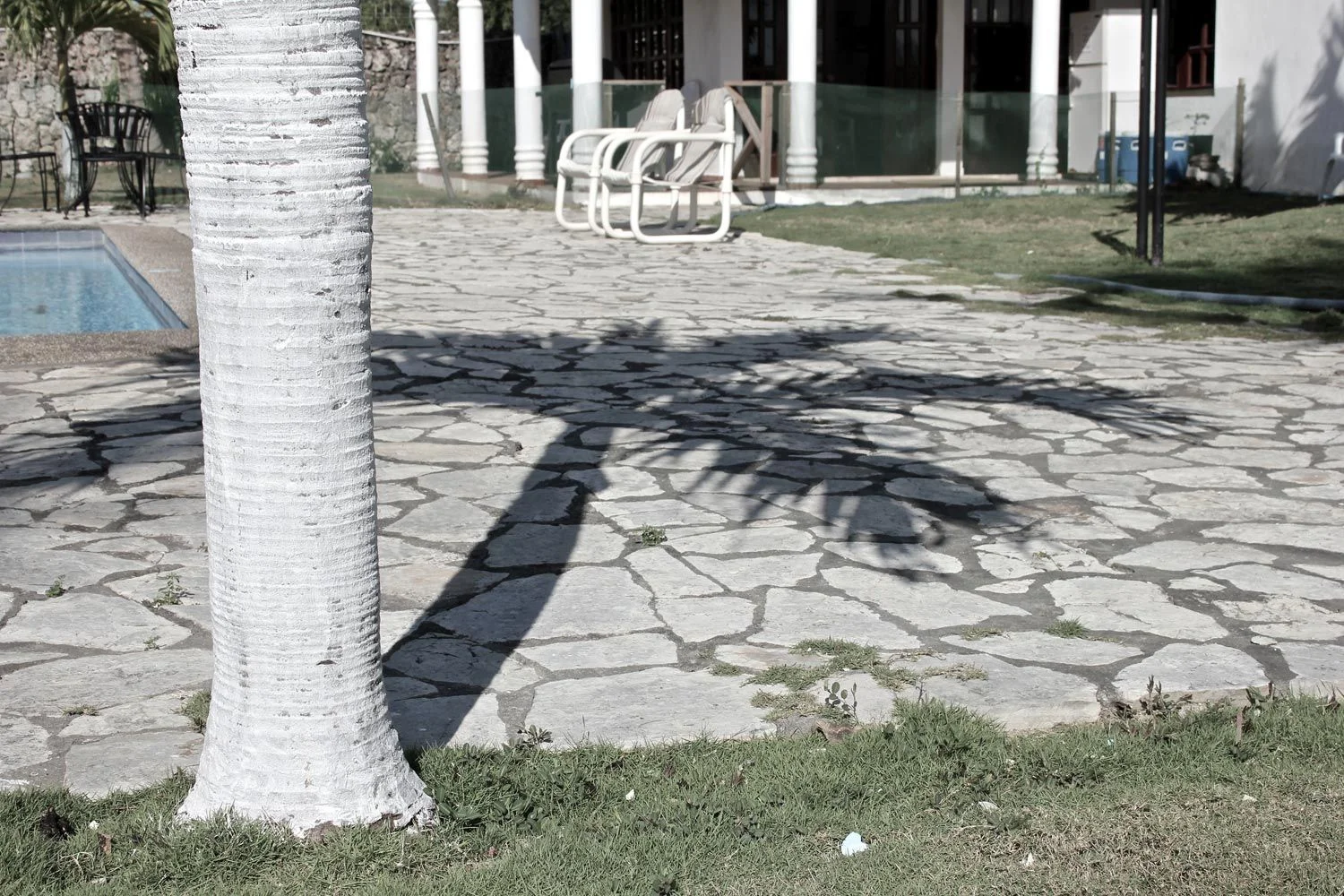 1500x1000-San-Pedro-Palm-Shadow.jpg