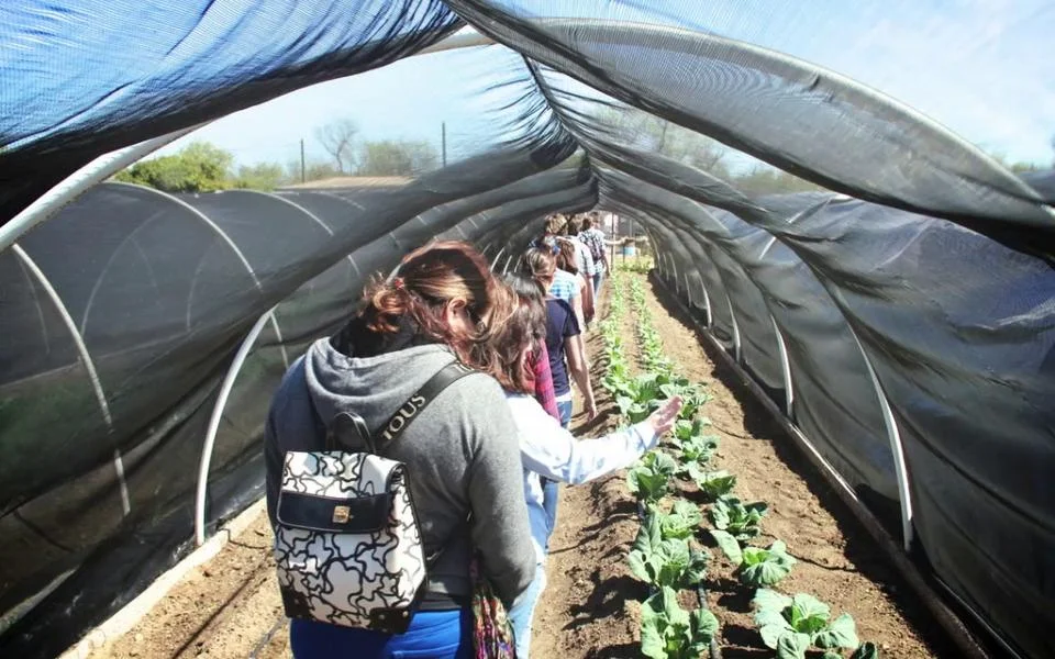 I was one of the parent chaperones on my son's field trip to Suzie's farm in San Diego. It was a lot of fun to tour a working organic farm—our tour guides were great, and all the students were super. They asked a lot of good questions tha