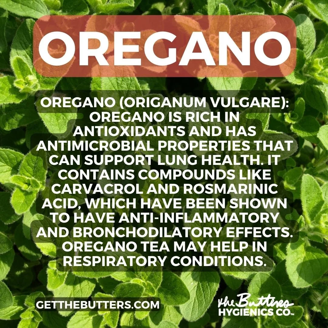 Oregano Tea For Lungs Wholesale Stores ec2351561240.eucentral1