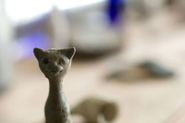 cat.jpg