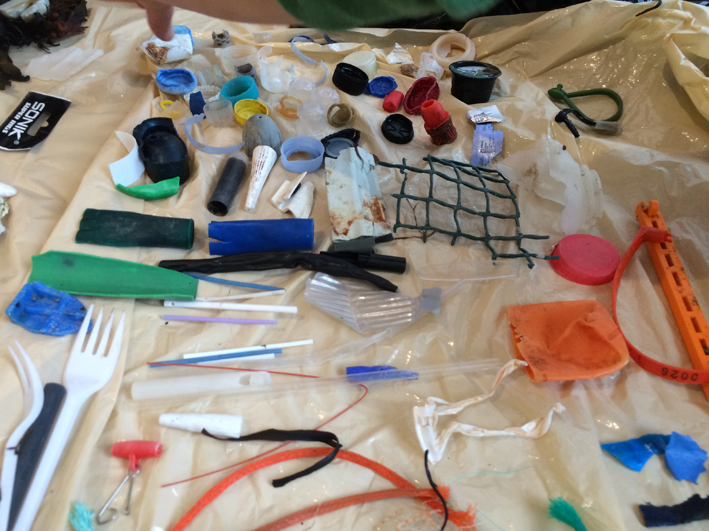 Trash or Treasure - A Peripheral View - beach plastic