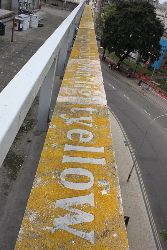 Lichen Strip at Phoenix Brighton May 26, 2019 Stig Evans and Philip Cole share studio balconies at Phoenix Brighton. Since being repainted less than 10 years ago they have noticed the gradual growth and spread of orange/yellow lichen across its parapet. Xanthoria parietina and Xanthoria aureola. Common lichens that occur throughout Southern England. Lichens are used as indicators of air quality and their gradual spread over the balcony and roofs across Brighton suggest a change to Brighton’s air quality. Both lichen species are able to tolerate surfaces with high levels of pollutants associated with artificial fertilizer and car exhaust fumes. To highlight this, the Artists have come together to work on this collaborative piece. Both are abstract painters, sharing common interests in colour and colour nomenclature, both also make text-based work. Together they have subtly transformed the balcony by removing sections of the lichen to create a temporary intervention. ‘Lichen Strip’ is a 44-metre-long text piece using an historic colour designation system for naming colours that uses a set of 12 basic colour terms and a small set of adjective modifiers. The National Bureau of Colour Standards first established the dictionary in the 1930s. Its intention being to sufficiently standardise colour nomenclature across different fields such as science, arts, printing, geology and botany as well as being easily understood by everyone. Using the yellow /orange section of the dictionary the lichen was carefully removed to create a lyrical text-based piece that also identifies and categorises the incredible colours that the lichen contain