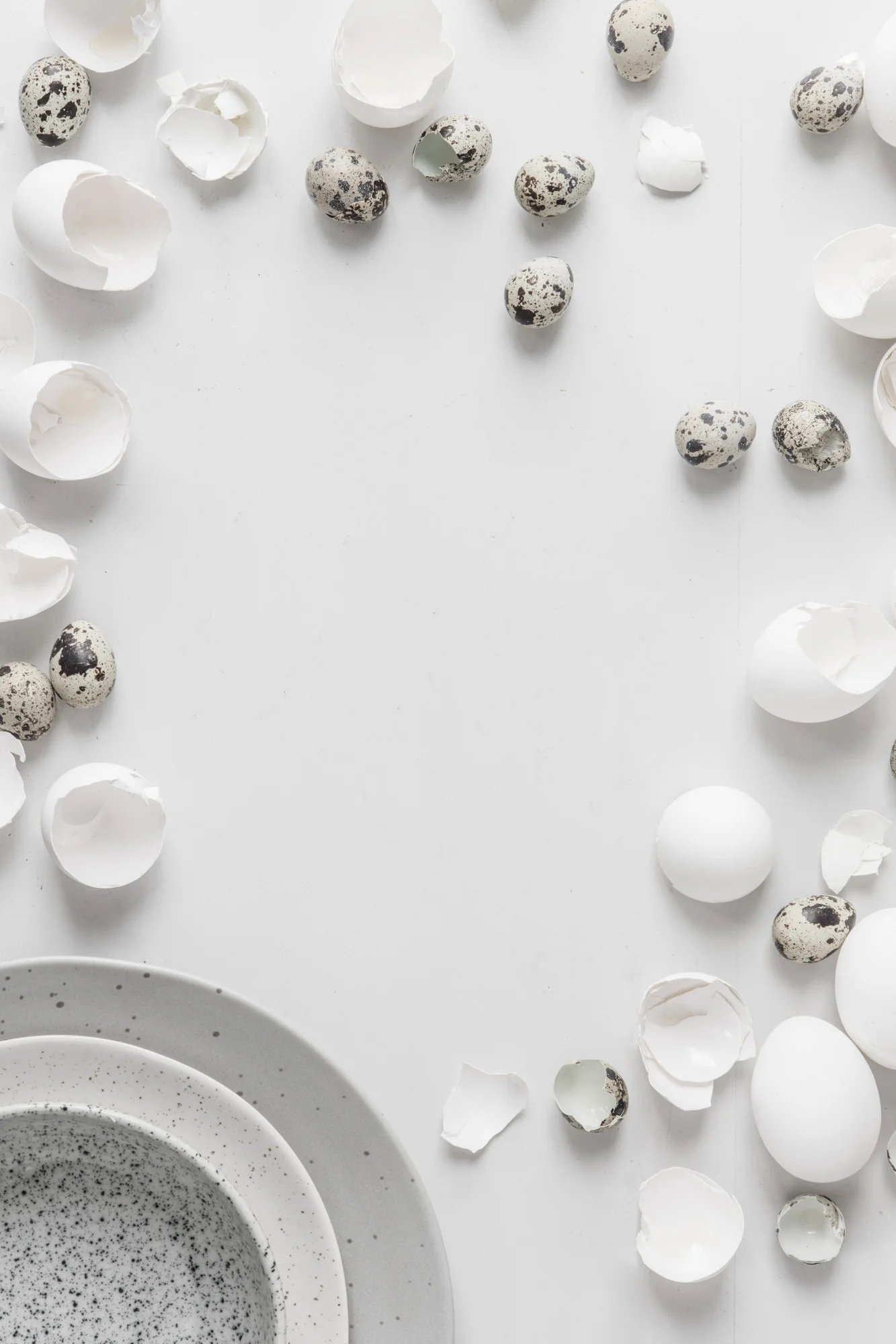 eggs8547.jpg