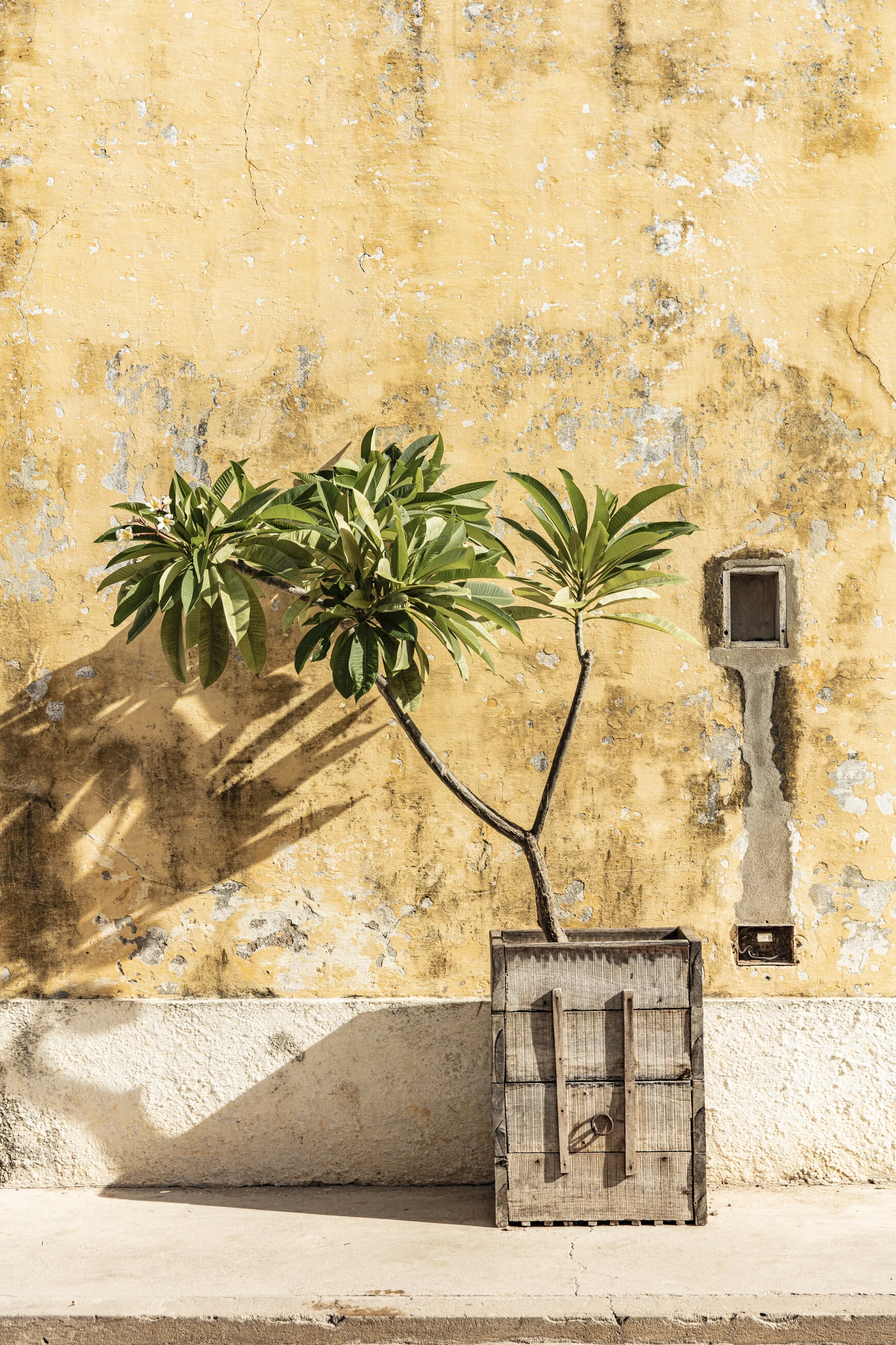 moz_232A0187.jpg