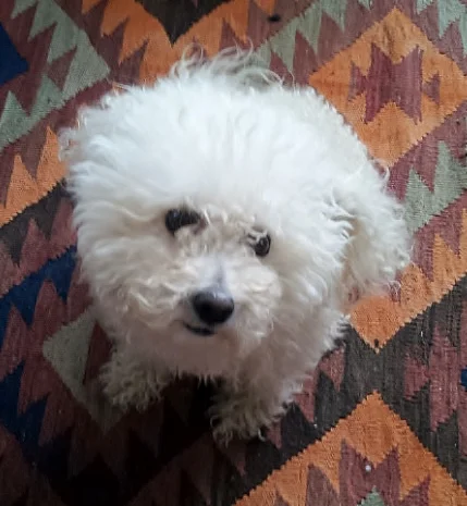 Our Newest Team Member