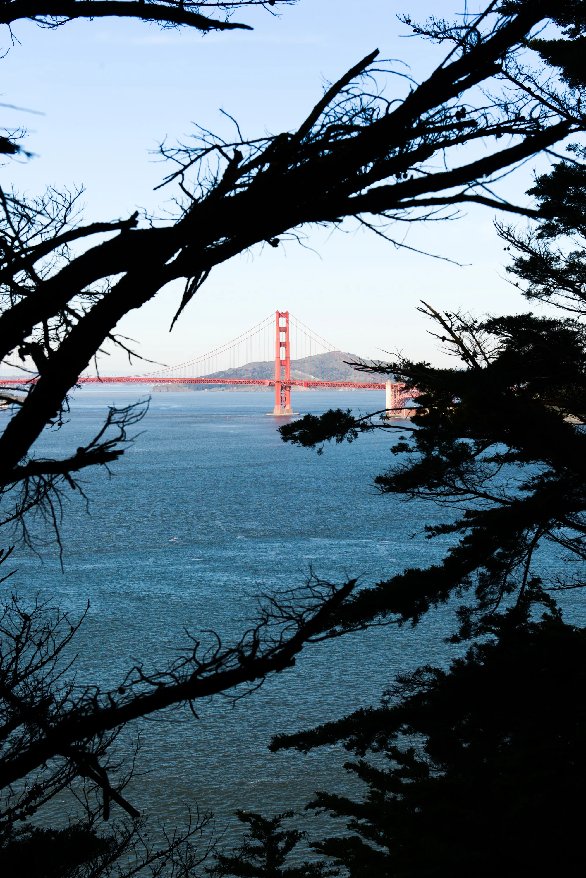 SanFranLandsEnd-13.jpg