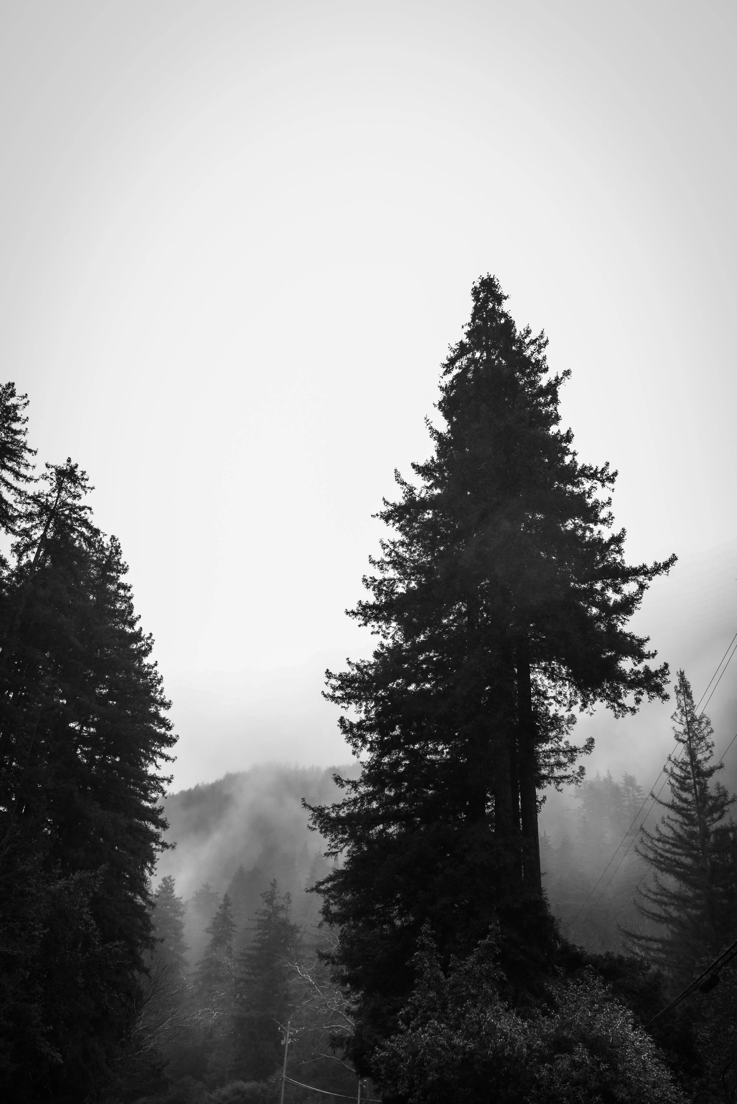 untitled-15.jpg
