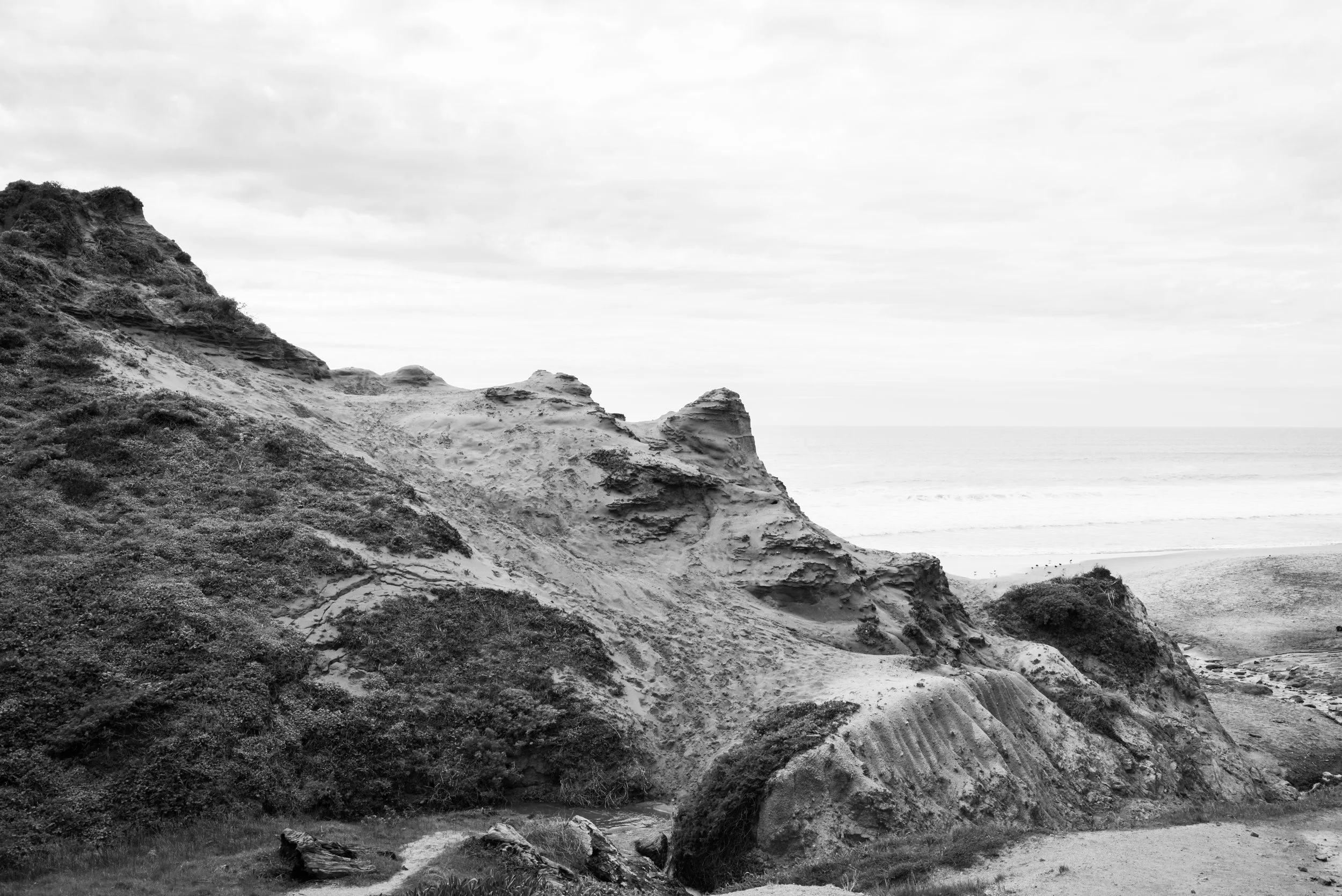 PointReyes-3.jpg