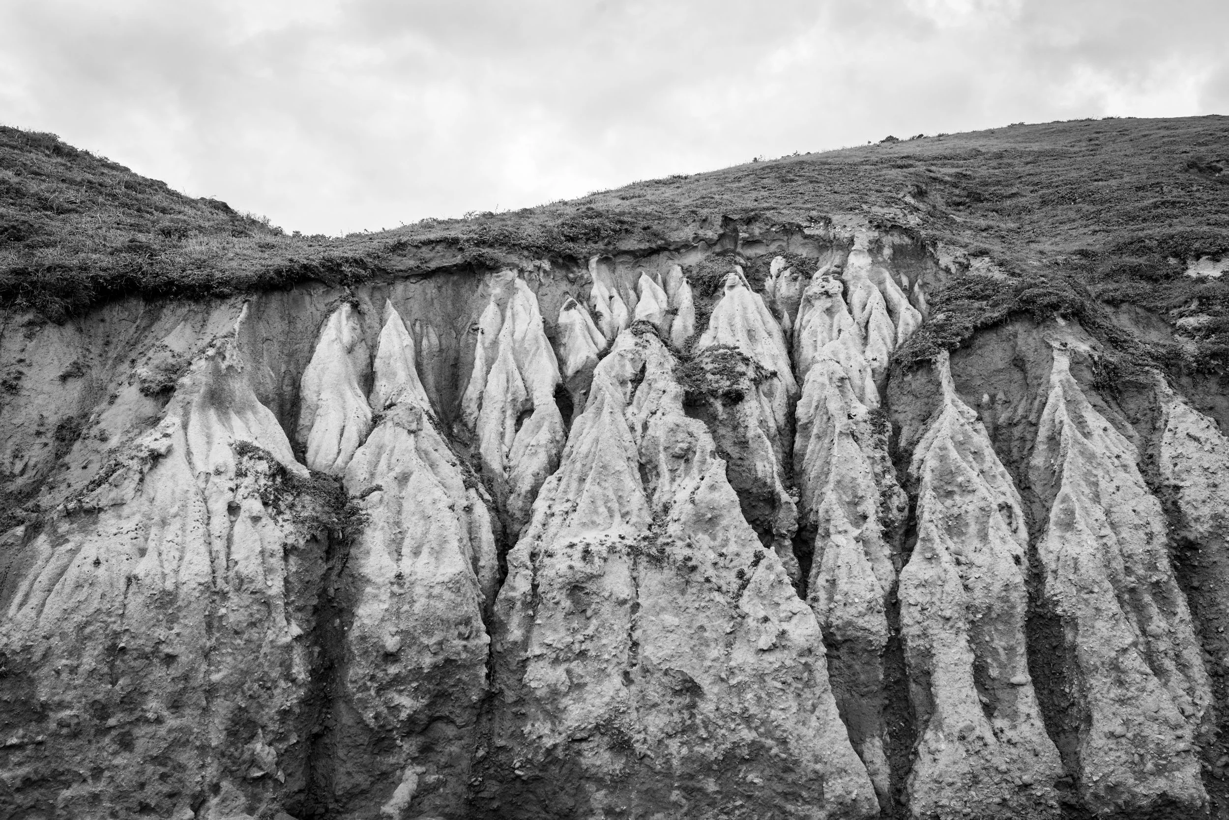 PointReyes-13.jpg