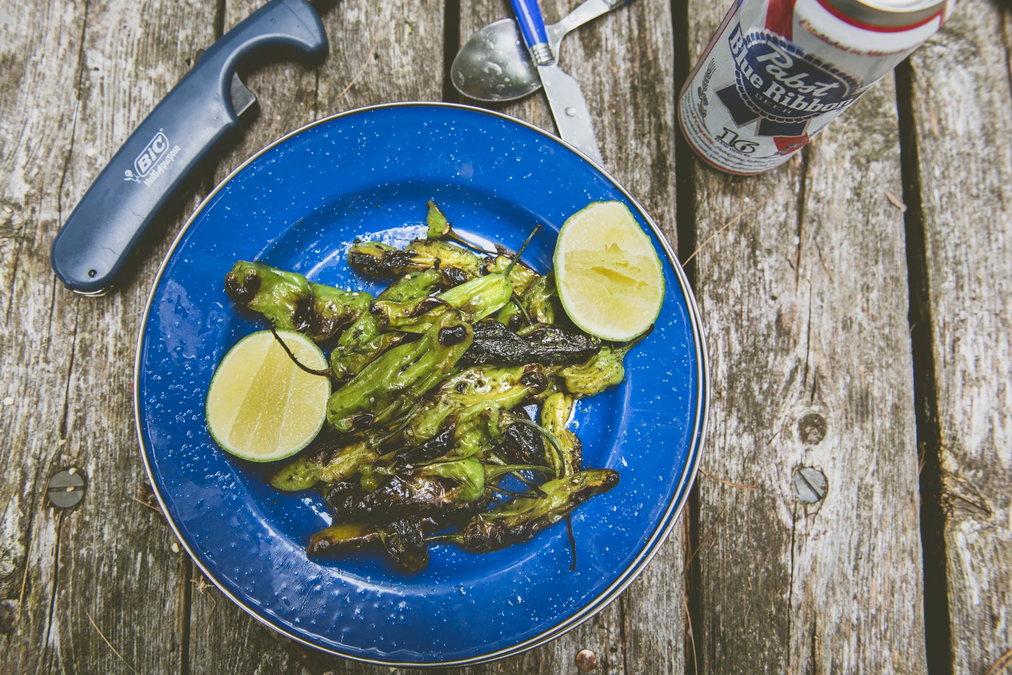 Appetizer course: Blistered Shisito peppers with sesame oil, lime juice and topped with nori salt.