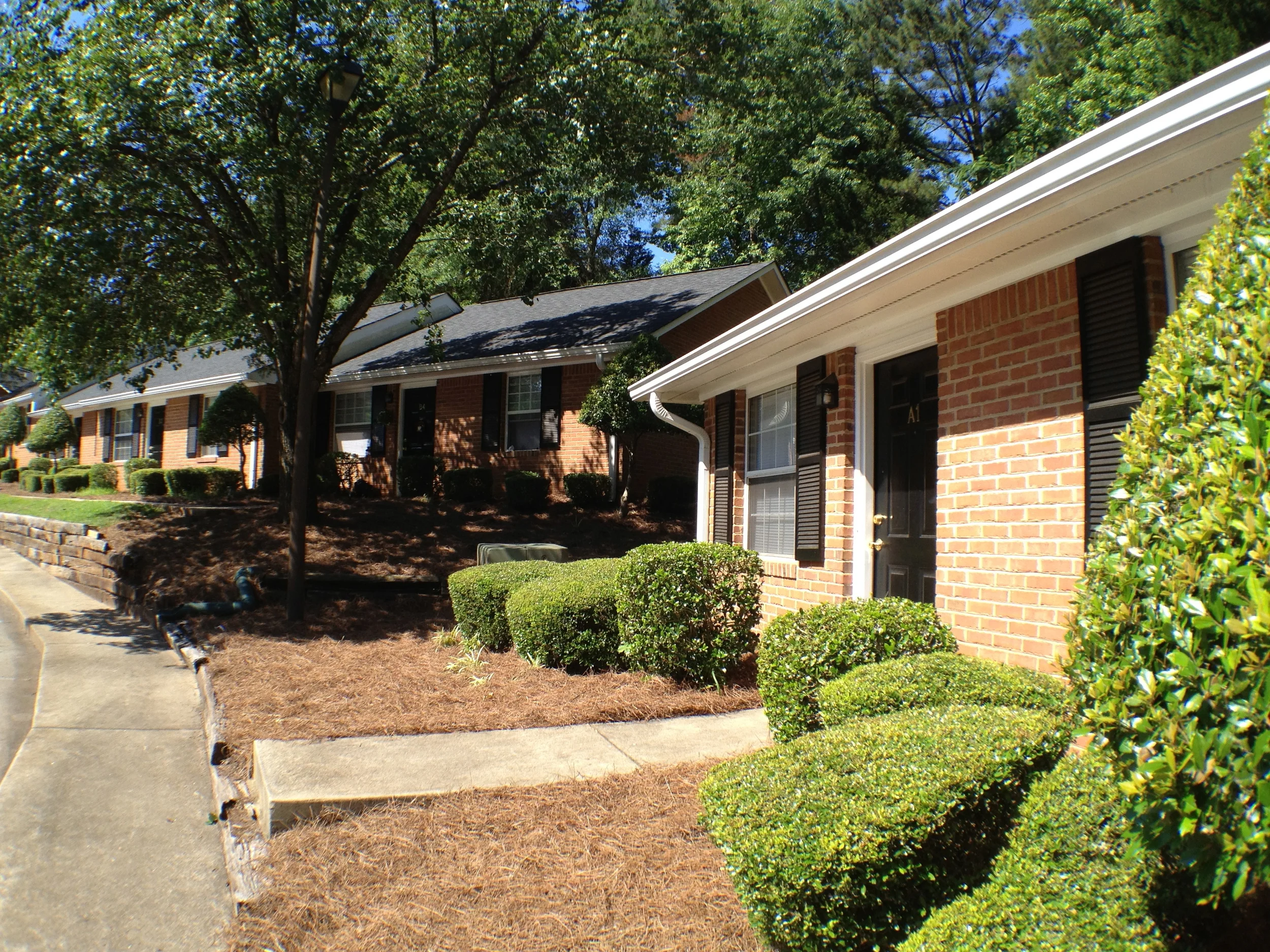 IMG_1128.jpg