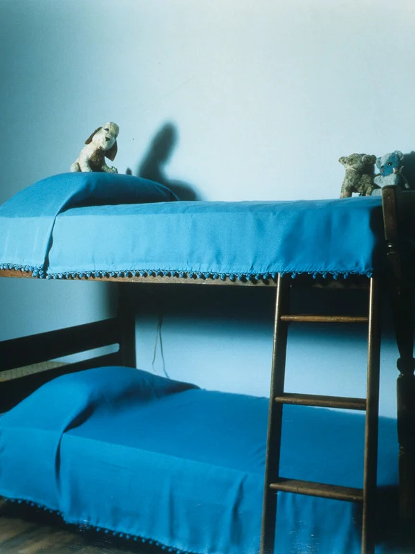 Covers: Bunk (1997) (20”x24”) color photograph