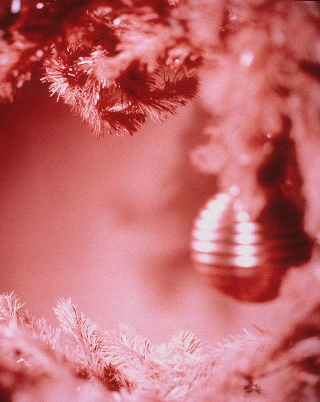 Covers: Xmas (1997) (20”x24”) color photograph