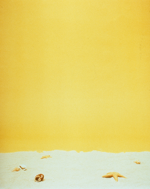Covers: Beach (1997) (20”x24”) color photograph