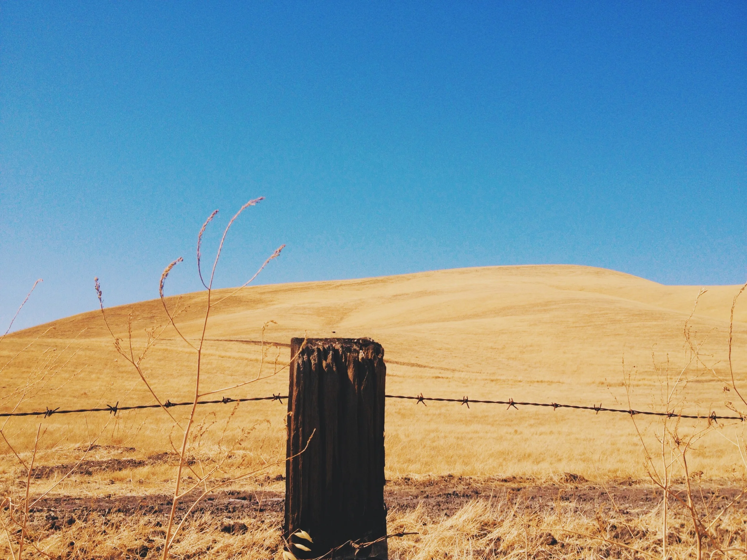 jasonquiz_fields_fence-post.JPG