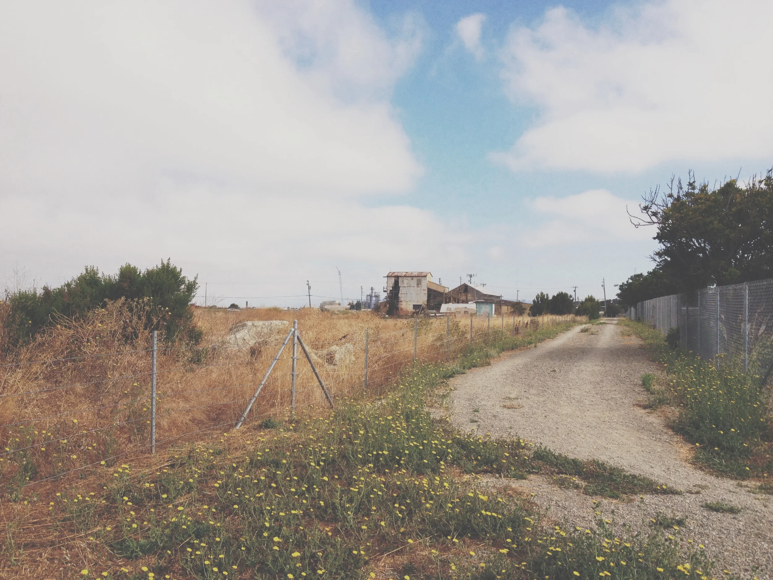 jasonquiz_salt-flat-barn_roadJPG