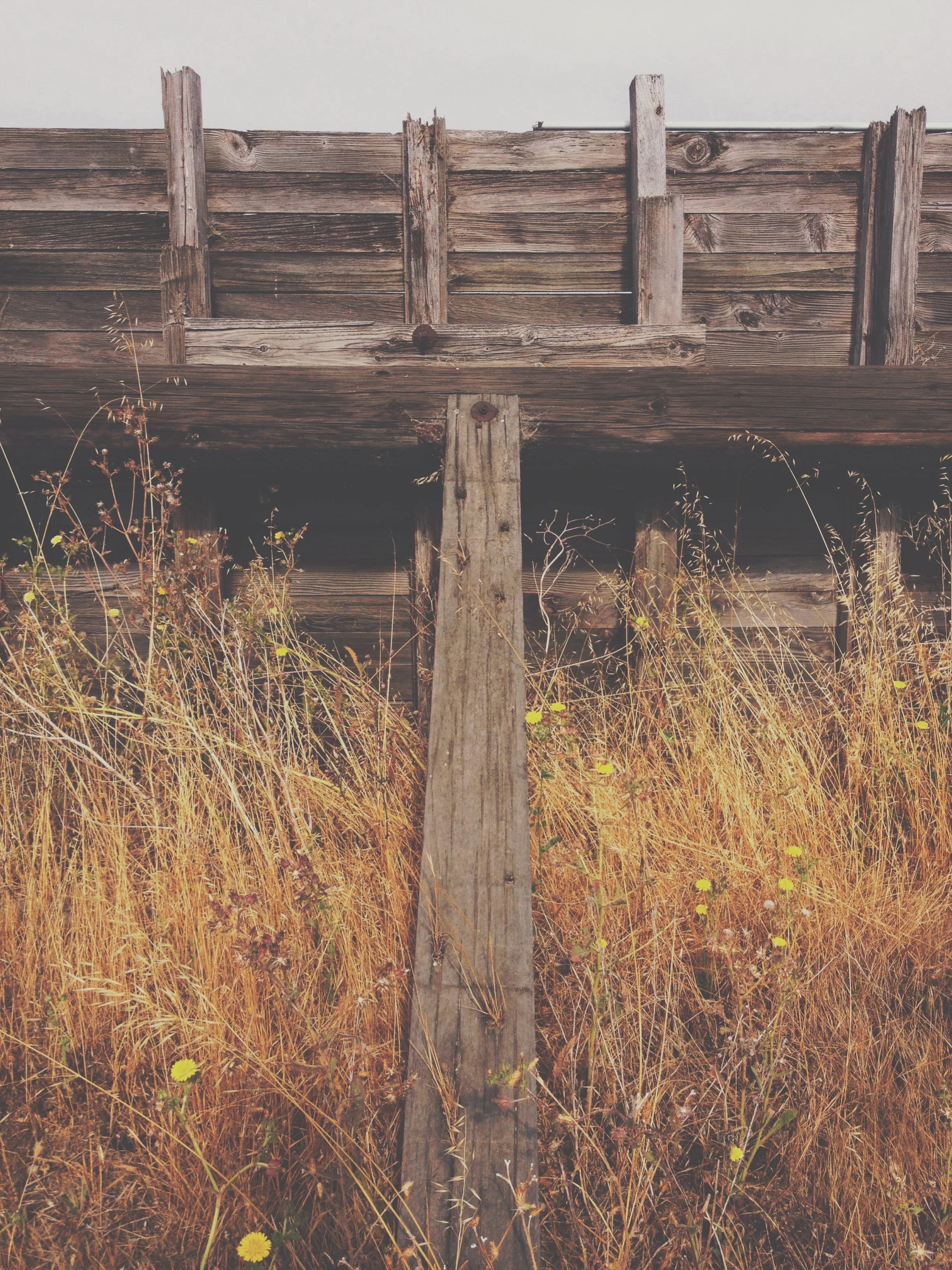 jasonquiz_salt-flat-barn_wood-wall.jpg
