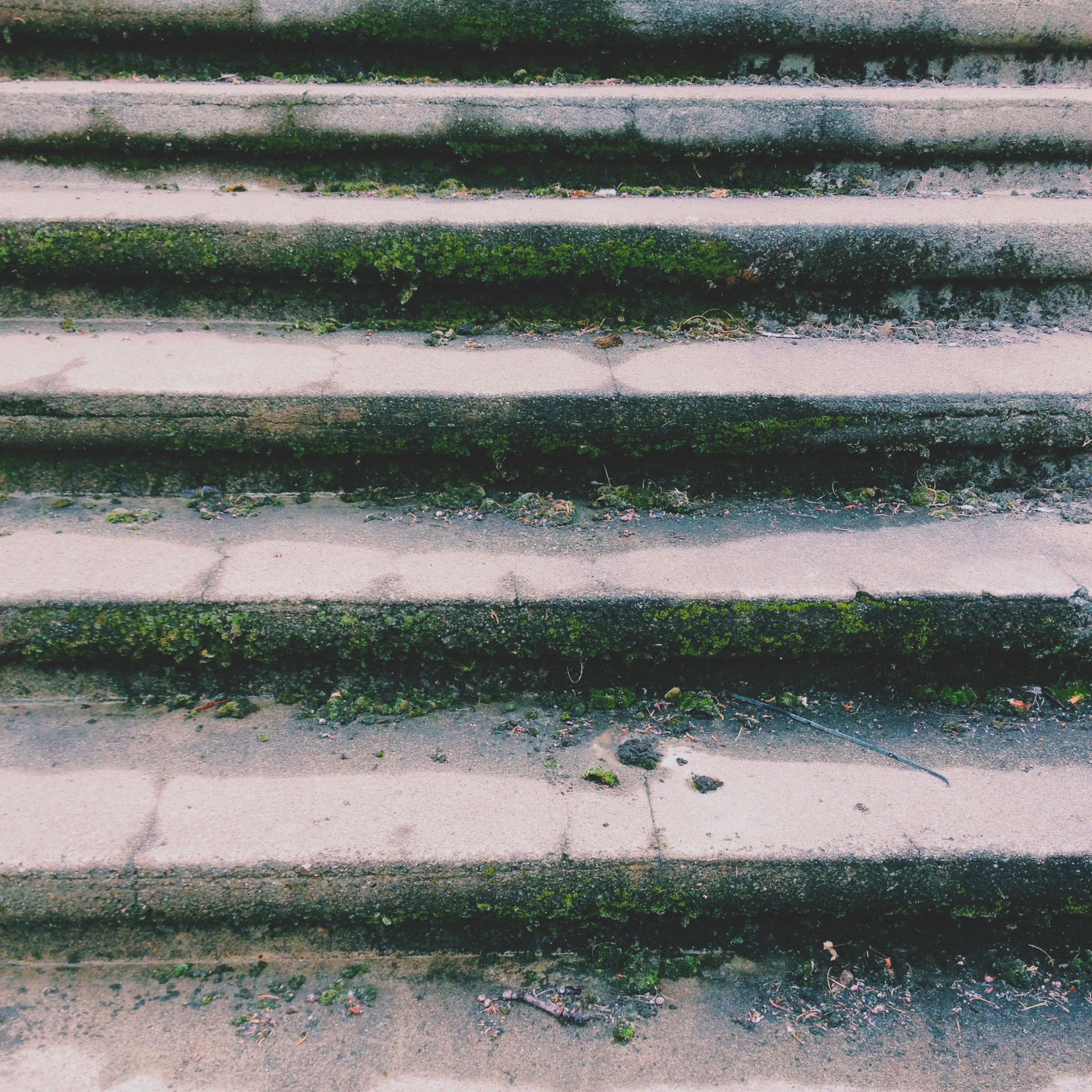 jasonquiz_haywardcityhall_mossy-steps.jpg