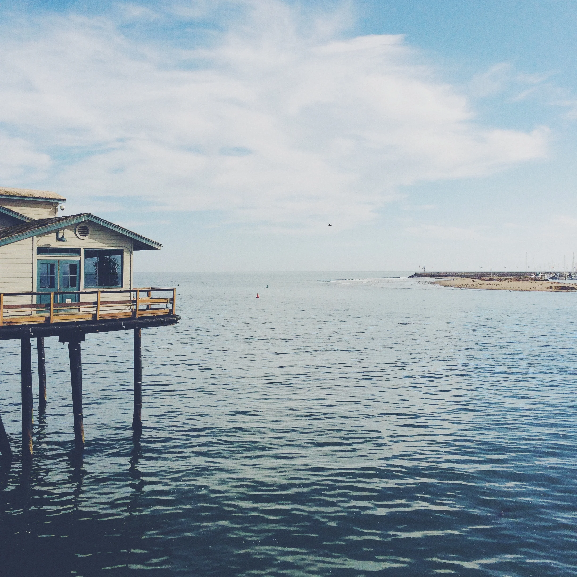 jasonquiz_stearns-warf