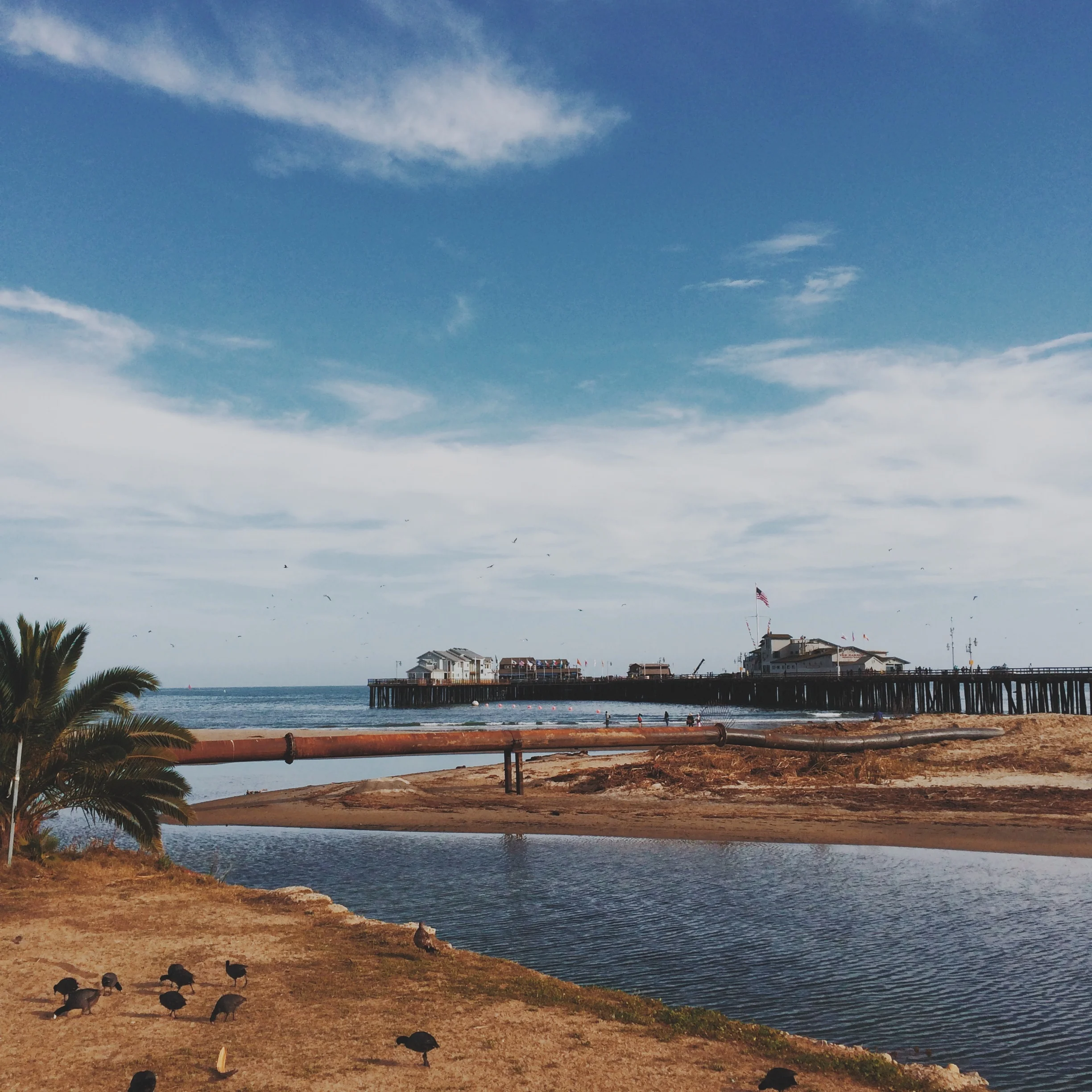 jasonquiz_mission-creek