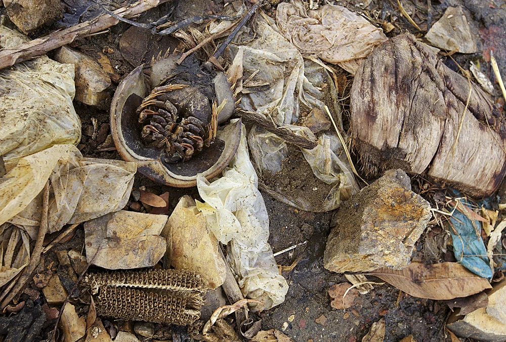 refuse from the kampot fish market, southern cambodia