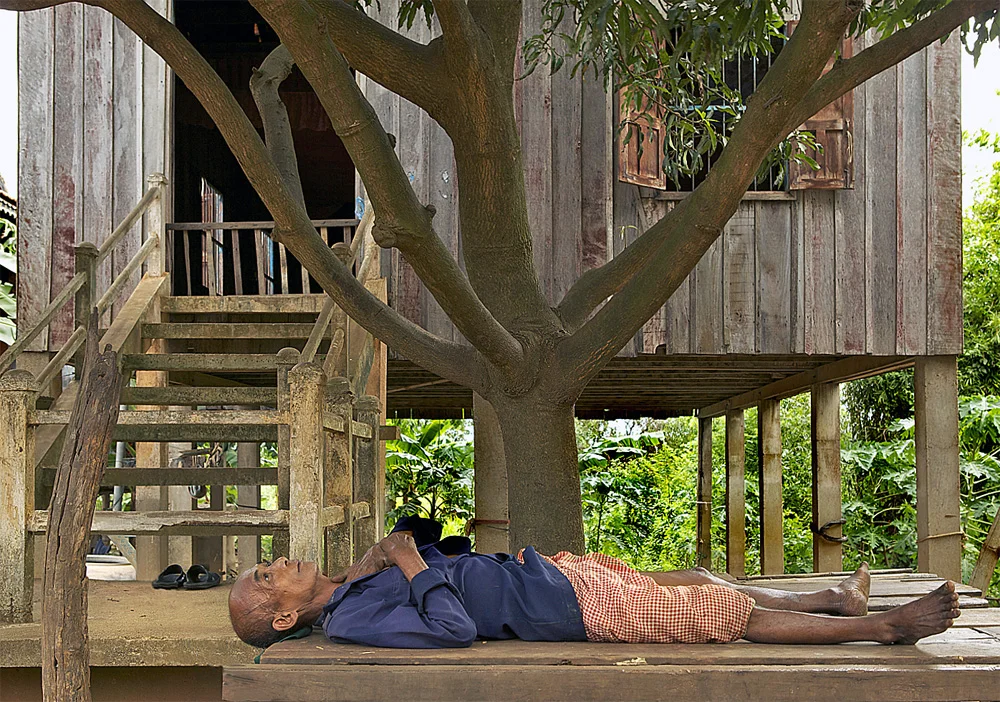 tree of life, village near oudong