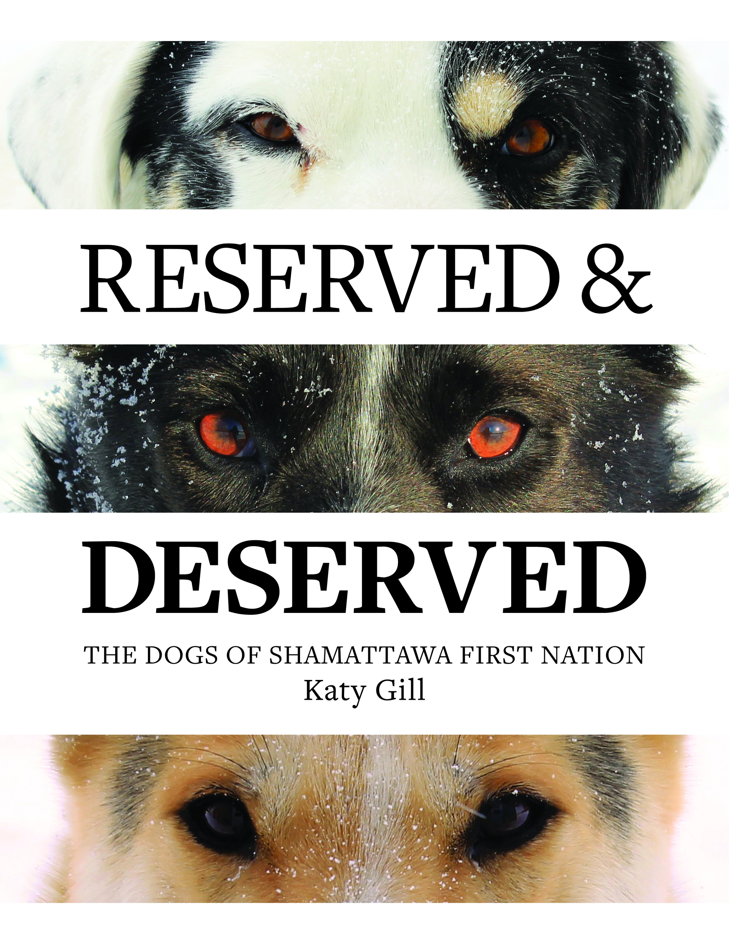 KatysBook-November-2021-Cover.jpg