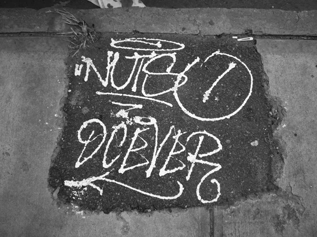      

 
    Nutso Dcever  
 






















     