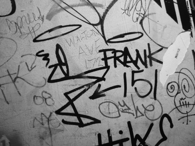      

 
    Stay High 149 Frank151  
 






















     