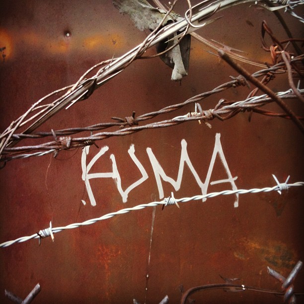      

 
   Kuma (Taken with  instagram ) 
 






















     