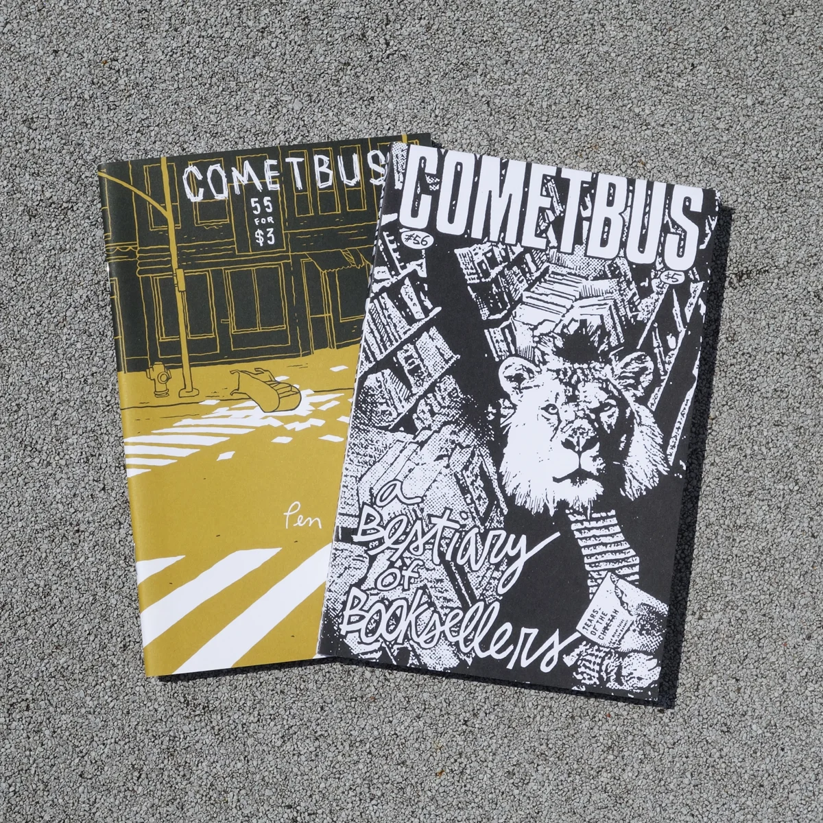 Cometbus has been going strong for decades, a true inspiration in DIY writing and publishing.