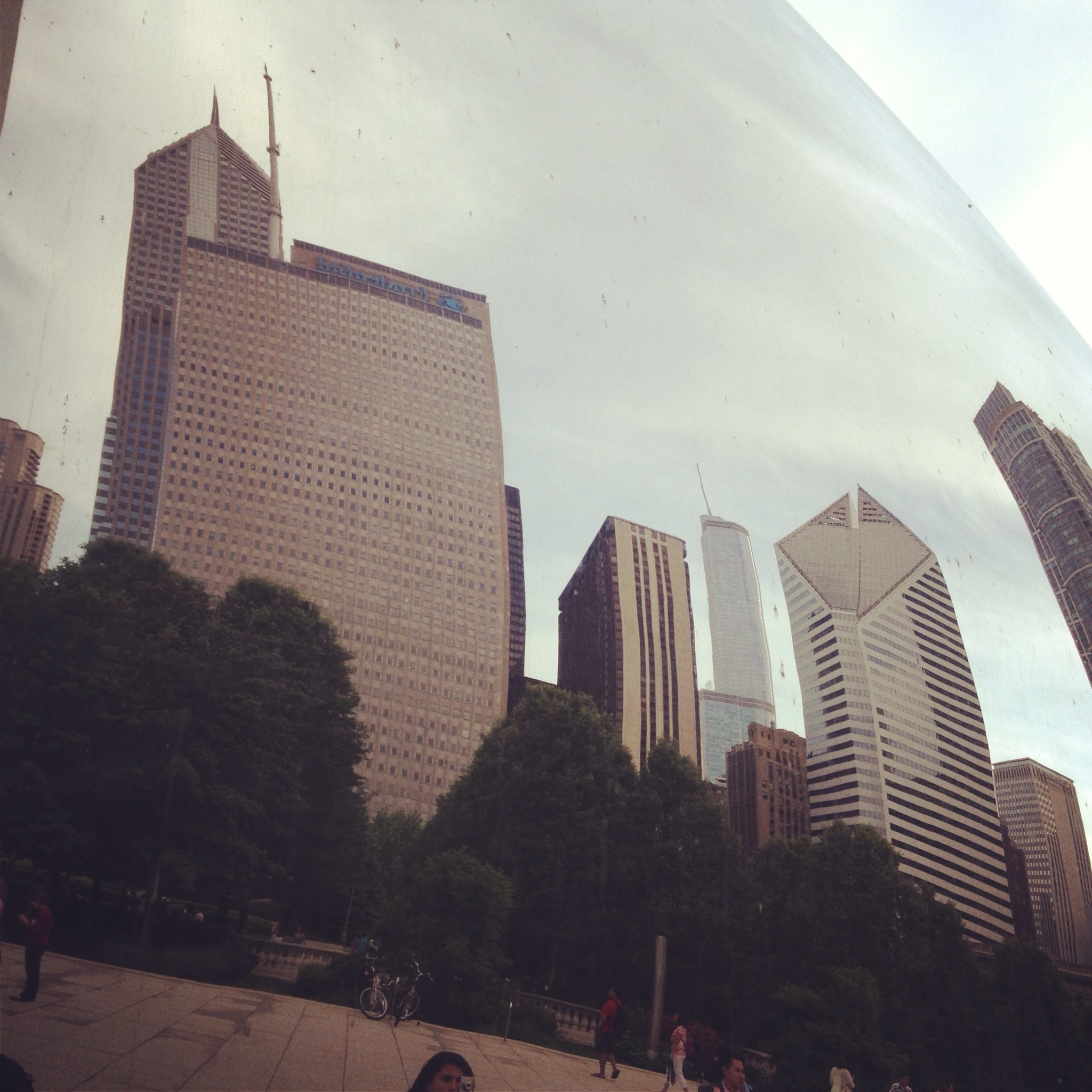 bean.jpeg