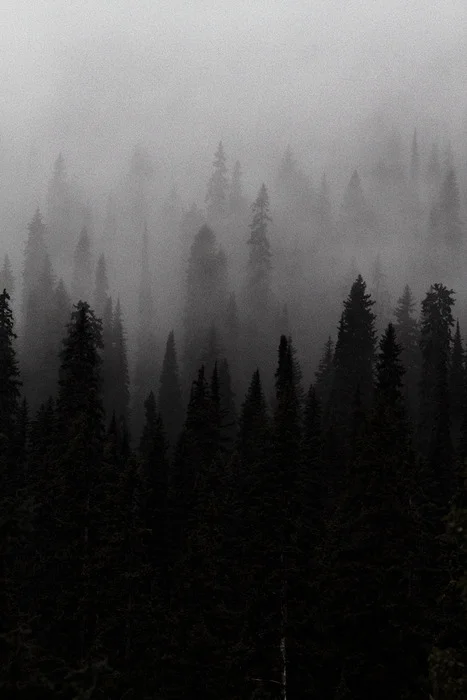 Transient