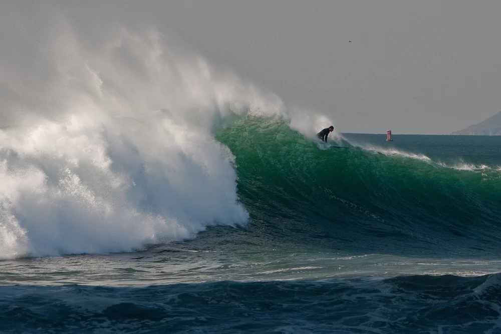 Nature Works Art Show