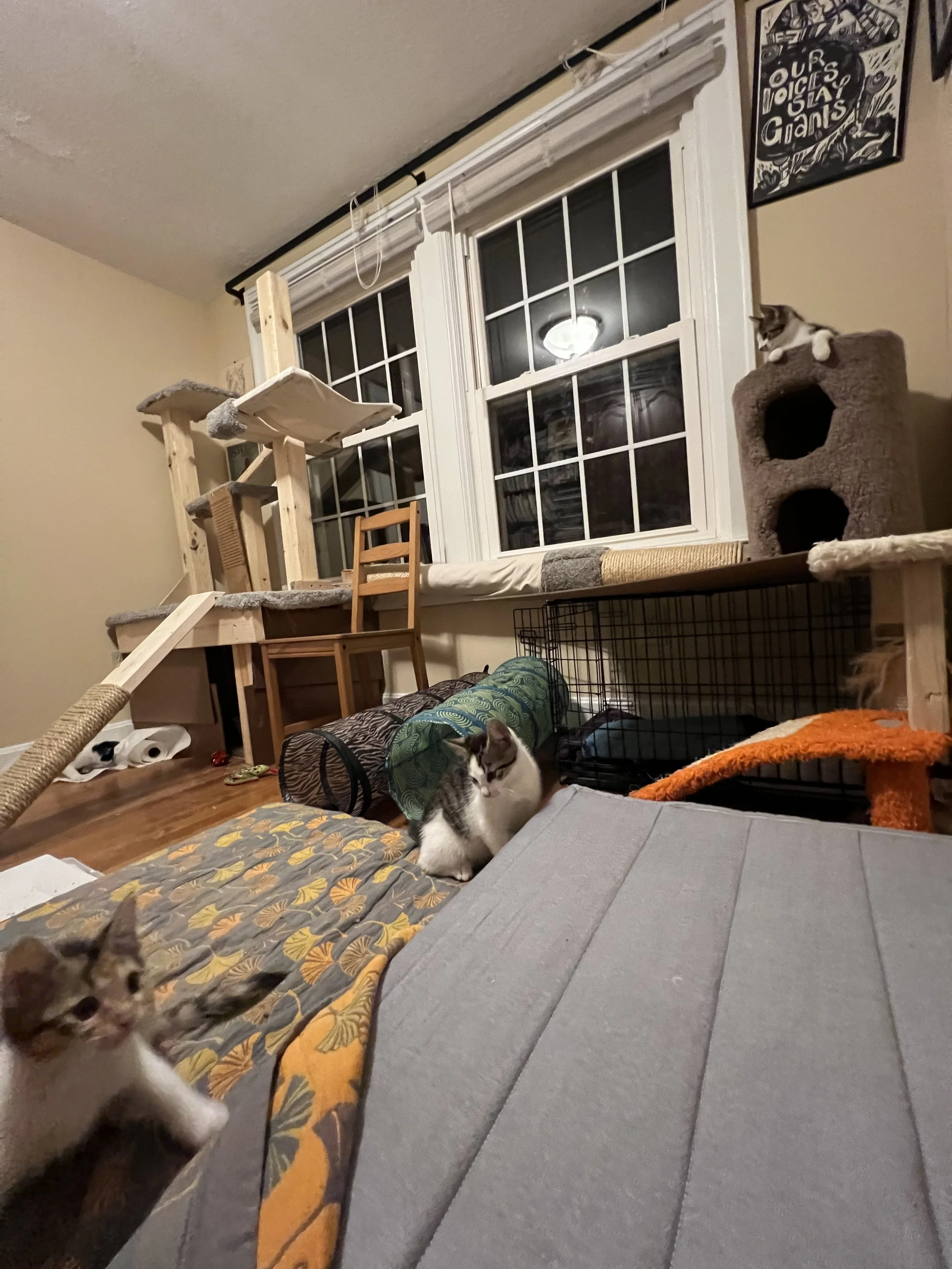 IMG_1809.jpeg