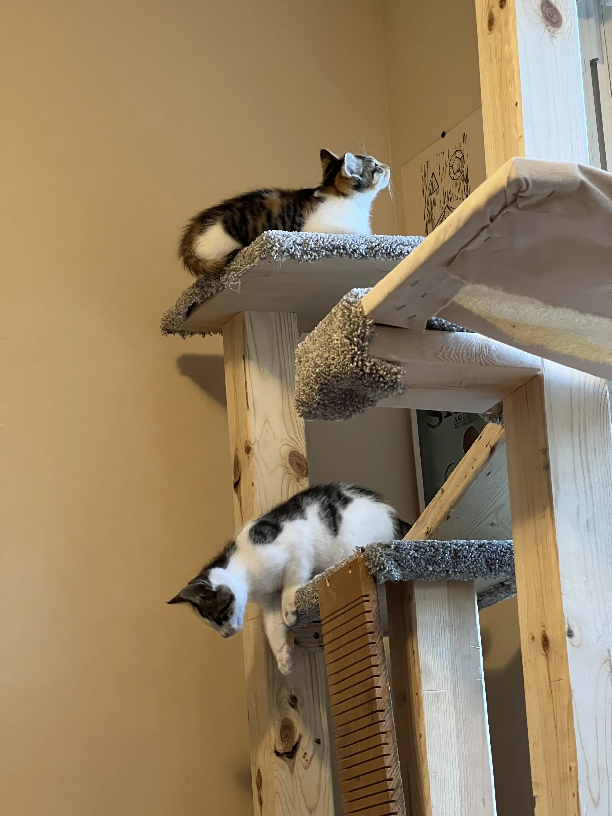 On da tree