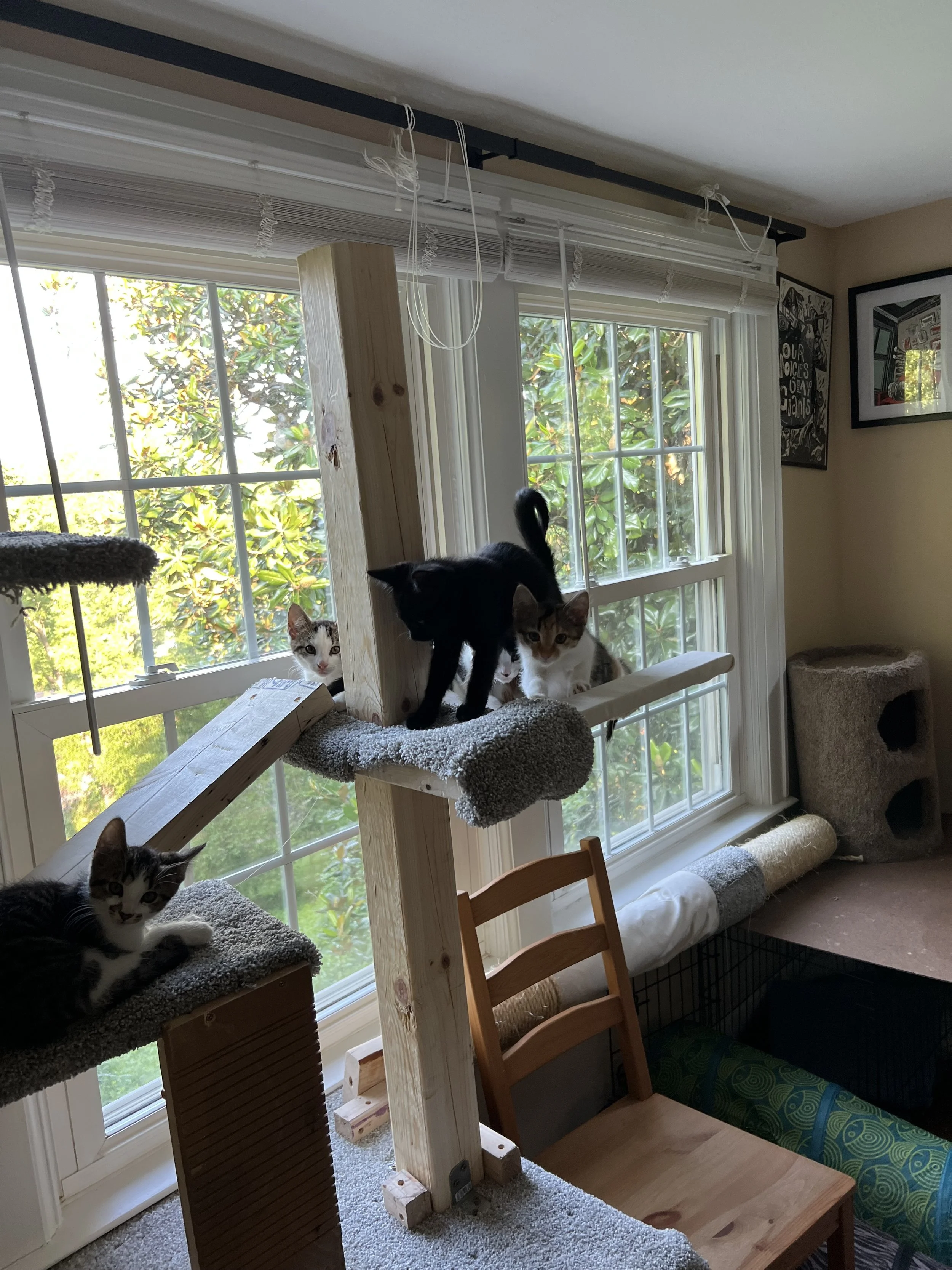 IMG_1833.jpeg